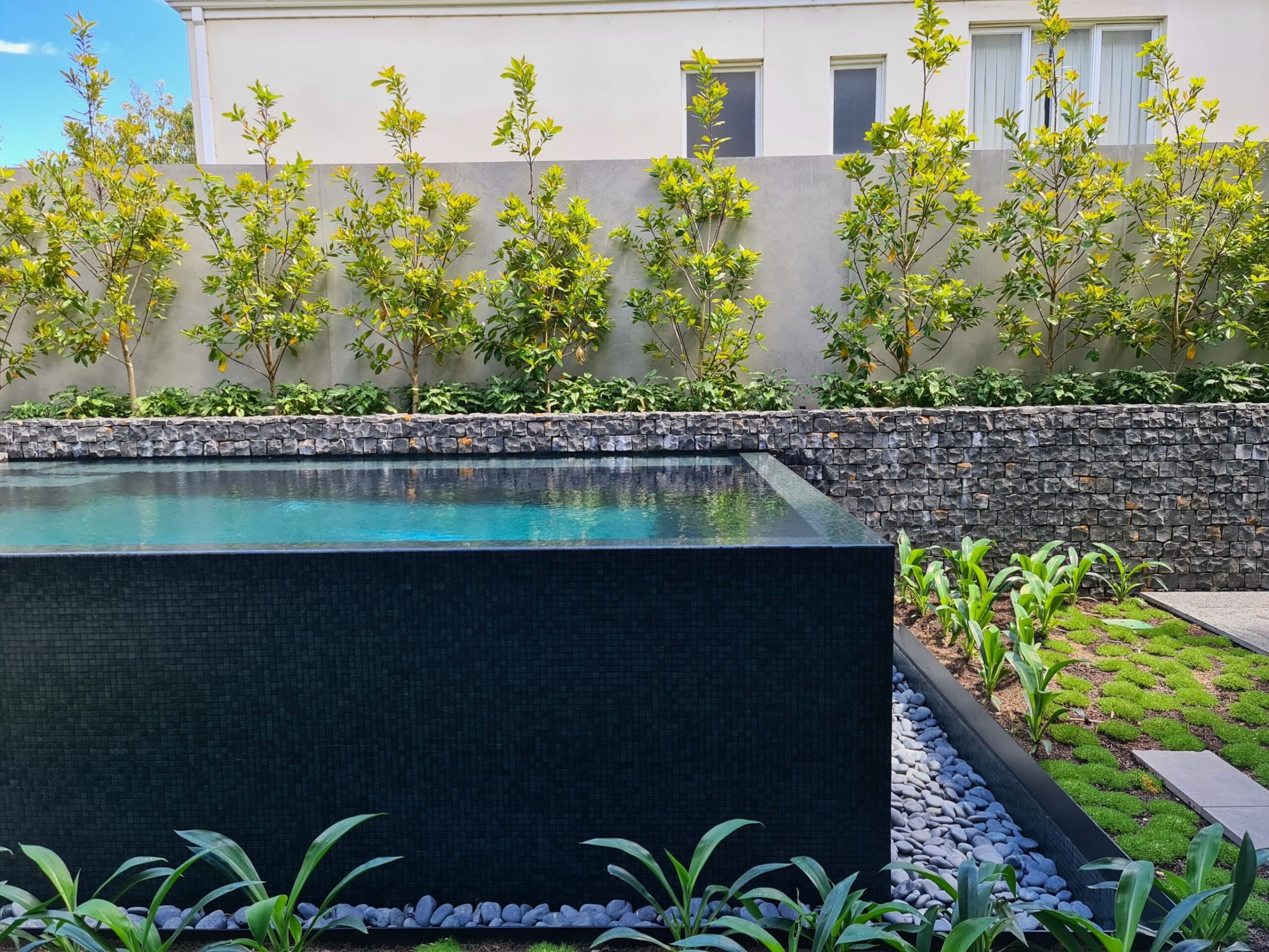 The Growing Alternative To Mineral Pools Naked Freshwater Pool Systems